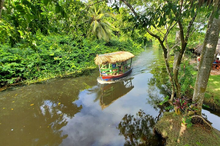 Jungle Safari Excursion  - Photo 1 of 11